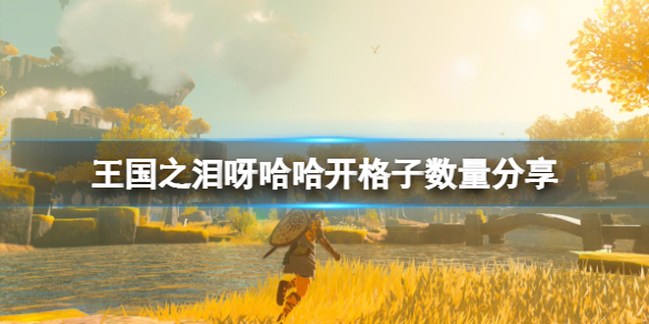 《塞尔达传说王国之泪》呀哈哈开格子数量分享 呀哈哈可开多少格子