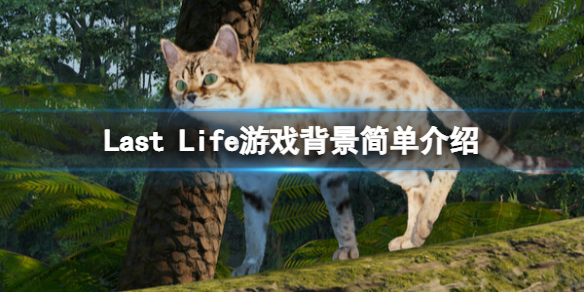 《Last Life》游戏背景是什么？游戏背景简单介绍