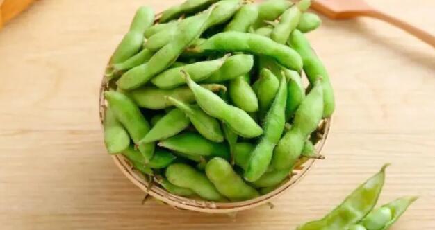 蚂蚁庄园6月8日：毛豆其实是哪种豆子的小时候