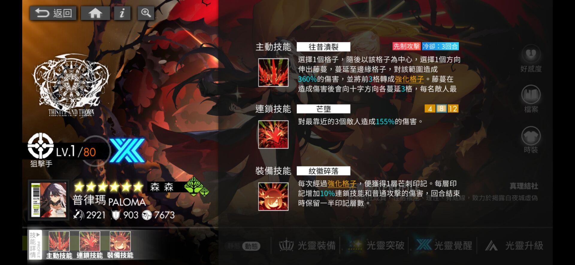 白夜极光普律玛光灵厉害吗 普律玛光灵强度解析