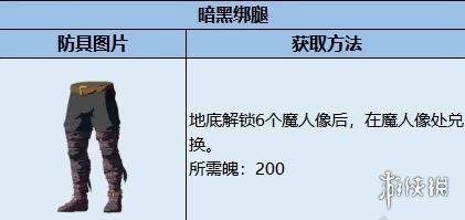 《塞尔达传说王国之泪》暗黑套装效果如何？暗黑套装获取及升级材料一览