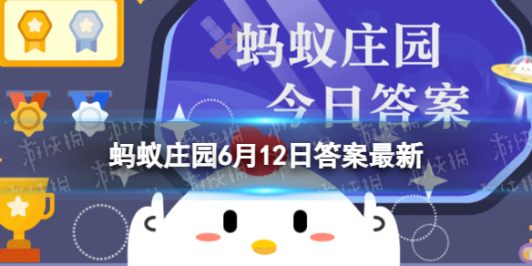 Xbox还有未公布大作！陶德XSS爽玩《星空》