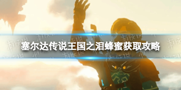 《塞尔达传说王国之泪》蜂蜜在哪获得？ 蜂蜜获取攻略