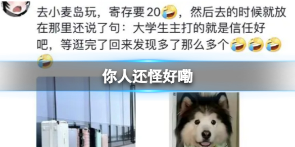 你人还怪好咧 你人还怪好嘞是什么梗