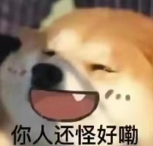 你人还怪好嘞英语怎么说 你人还怪好嘞英文说法