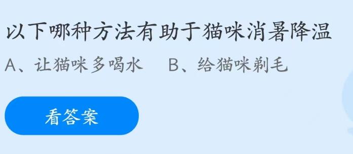 蚂蚁庄园6月17日：以下哪种方法有助于猫咪消暑降温