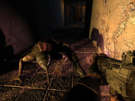 《潜行者1》现已支持繁体中文 Steam特别好评