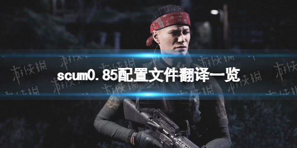 《人渣》0.85配置文件翻译一览 0.85配置文件参数对照表