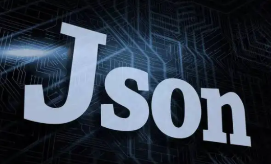 json是什么意思 文件json是什么意思