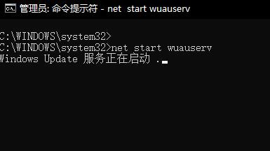 win101903更新错误0x800f081f解决方法 win10更新错误0x800f0988