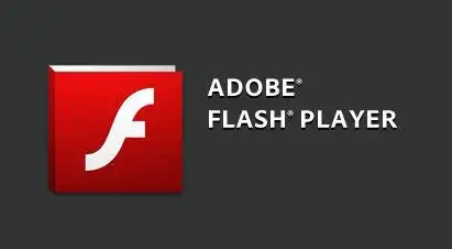 flash中心是否可以卸载详细 flash中心什么可以卸载