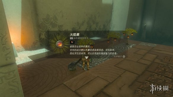 《塞尔达传说王国之泪》火焰弓获得方法