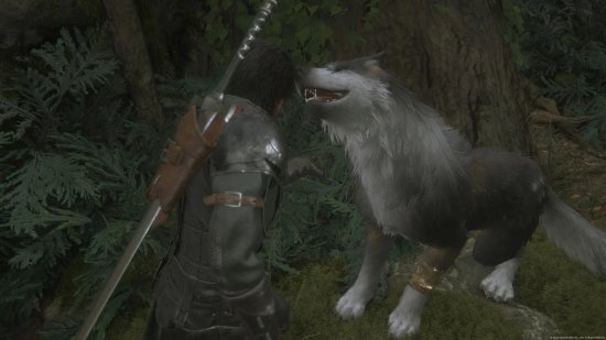 谁不喜欢毛茸茸的小狗狗呢？《FF16》有摸狗奖杯