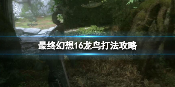 《最终幻想16》龙鸟掉什么材料？龙鸟打法攻略