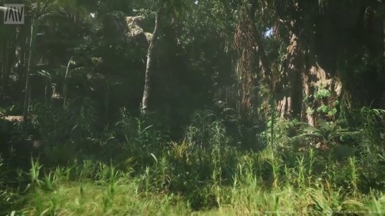 身临其境！虚幻引擎5.2技术制作“热带雨林”Demo演示