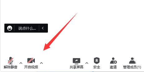 腾讯会议开会露脸吗