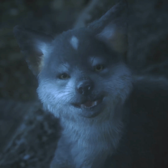 《FF16》小狼托加尔宣传片：互动奖杯别忘拿！