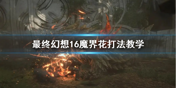 《最终幻想16》魔界花打法教学  魔界花怎么打？