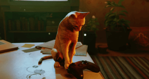 猫咪冒险游戏《流浪》将登Xbox平台 8月10日上线