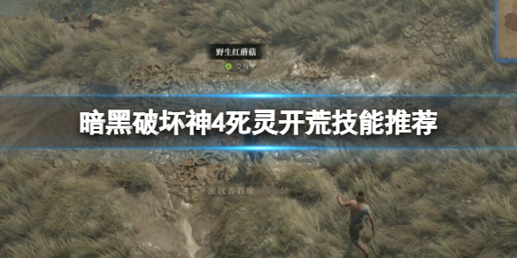 《暗黑破坏神4》死灵开荒选择什么技能？死灵开荒技能推荐