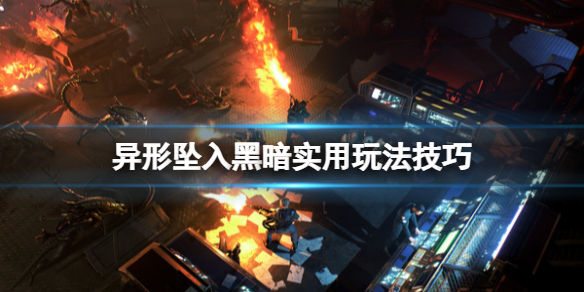 疯狂爆梗王蟠桃盛会攻略