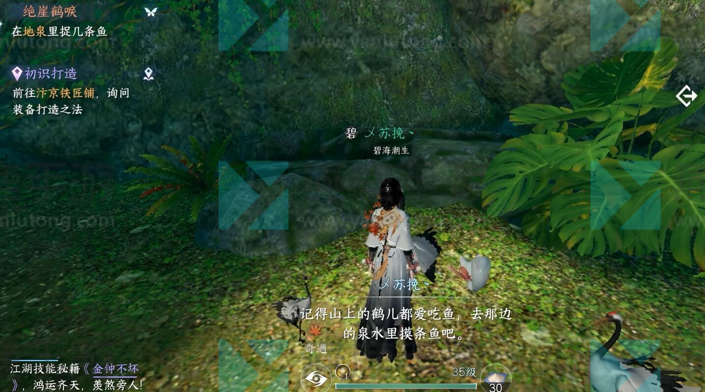 绝崖鹤唳奇遇攻略