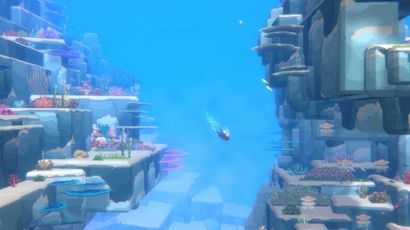 《潜水员戴夫》海鳝在哪？ 海鳝位置