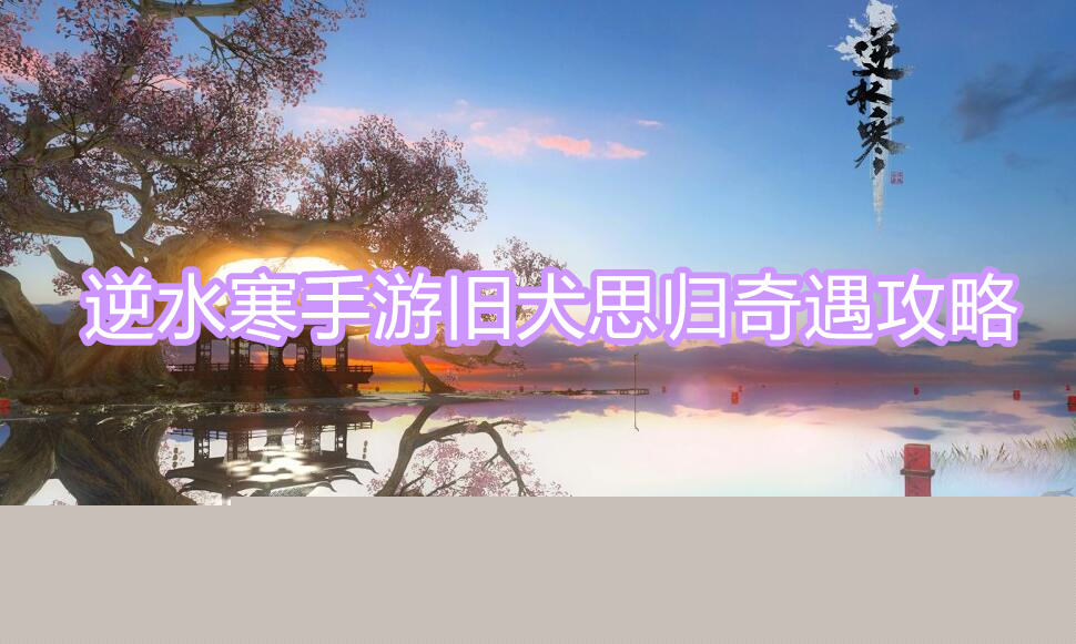旧犬思归奇遇攻略