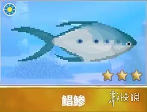 《潜水员戴夫》鲳鲹抓捕位置