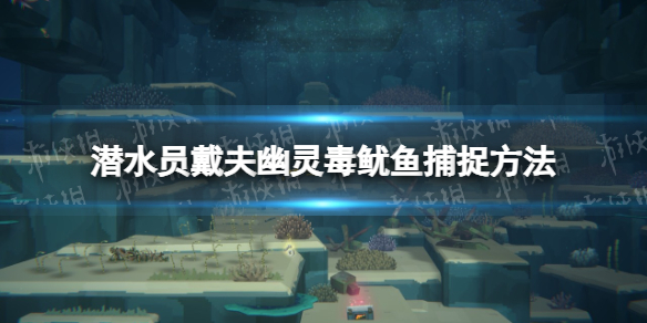 《潜水员戴夫》幽灵毒鱿鱼怎么捕捉？ 幽灵毒鱿鱼捕捉方法