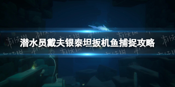《潜水员戴夫》银泰坦扳机鱼在哪？ 银泰坦扳机鱼捕捉攻略