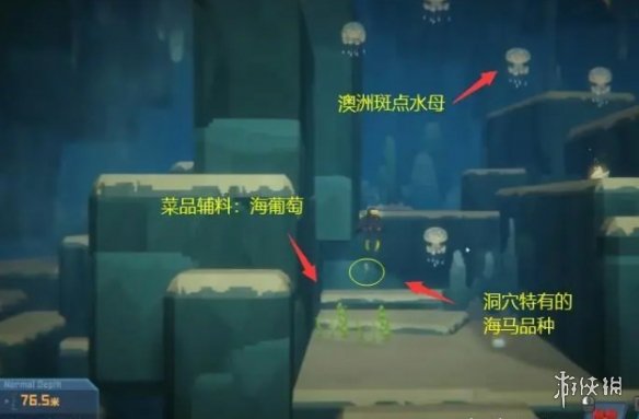 《潜水员戴夫》澳洲斑点水母抓捕方法