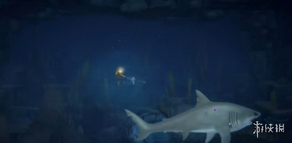 《潜水员戴夫》鲨鱼浅海点位介绍
