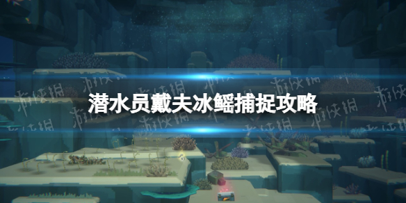 《潜水员戴夫》冰鳐在哪？ 冰鳐捕捉攻略