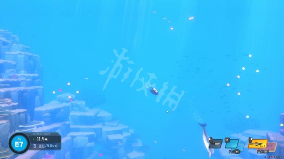 《潜水员戴夫》海豚任务怎么做？海豚的请求任务奖励