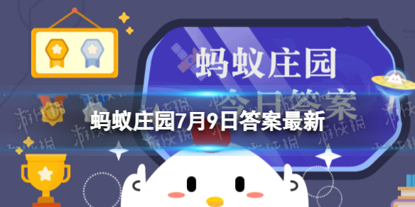 小鸡宝宝考考你挑蔬菜：以下哪种西蓝花更新鲜