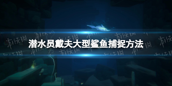 《潜水员戴夫》大型鲨鱼怎么抓？ 大型鲨鱼捕捉方法