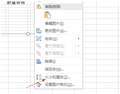 Microsoft Excel 2020怎么设置图片格式-Microsoft Excel 2020设置图片格式的方法