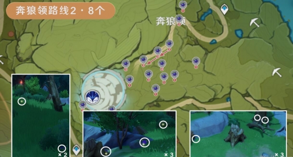 《原神》3.8版本钩钩果效率采集路线分享 3.8钩钩果怎么采集？