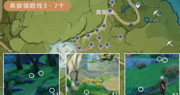 《原神》3.8版本钩钩果效率采集路线分享 3.8钩钩果怎么采集？
