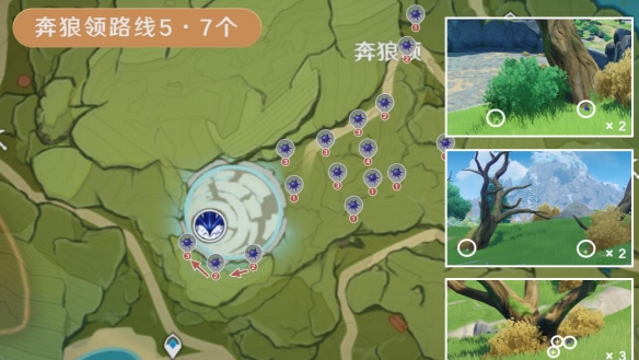 《原神》3.8版本钩钩果效率采集路线分享 3.8钩钩果怎么采集？