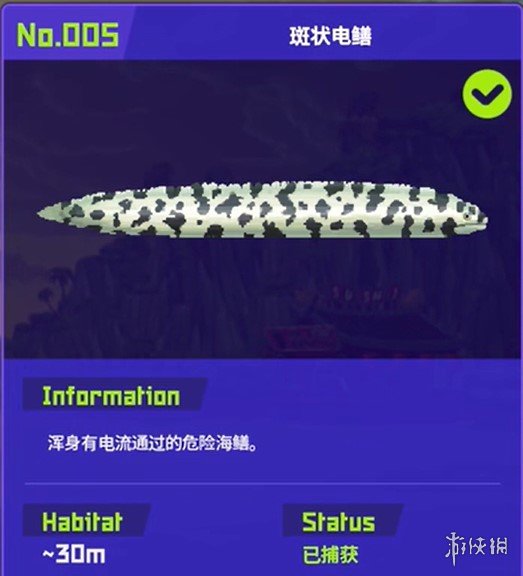 《潜水员戴夫》鱼怪图鉴及其捕获方式
