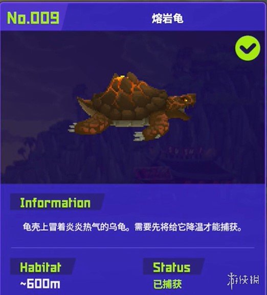 《潜水员戴夫》鱼怪图鉴及其捕获方式