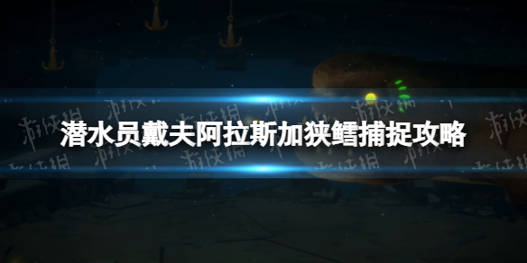 《潜水员戴夫》阿拉斯加狭鳕怎么抓？ 阿拉斯加狭鳕捕捉攻略