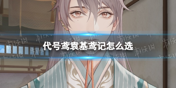 《代号鸢》袁基鸢记怎么选 袁基鸢记欲影谍影路线攻略