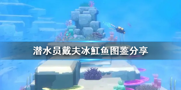 《潜水员戴夫》冰魟鱼图鉴分享    冰魟鱼怎么抓？