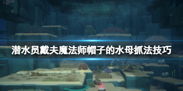 《潜水员戴夫》魔法水母位置在哪？魔法师帽子的水母抓法技巧