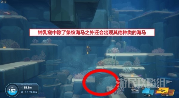 《潜水员戴夫》全海马出现位置及捕捉方法 海马怎么抓