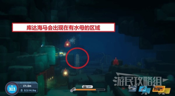《潜水员戴夫》全海马出现位置及捕捉方法 海马怎么抓