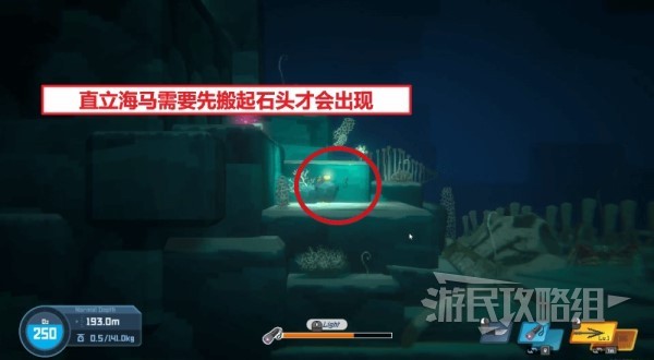 《潜水员戴夫》全海马出现位置及捕捉方法 海马怎么抓